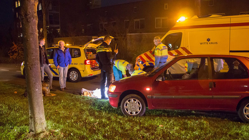 Vrouw en hond aangereden op zebrapad Laan van Parijs