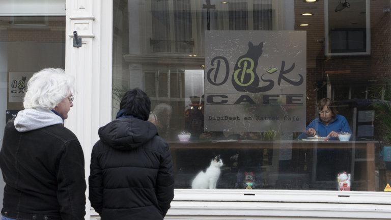 Alkmaar heeft nu eigen Kattencafé