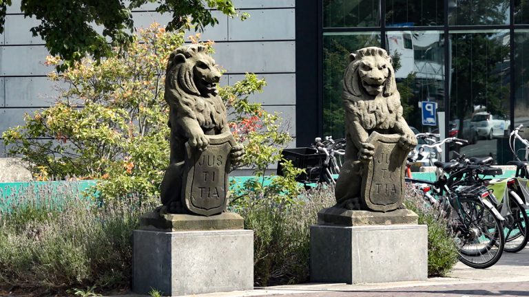 Bolletjesslikkende Heerhugowaardse met vriend voor rechter