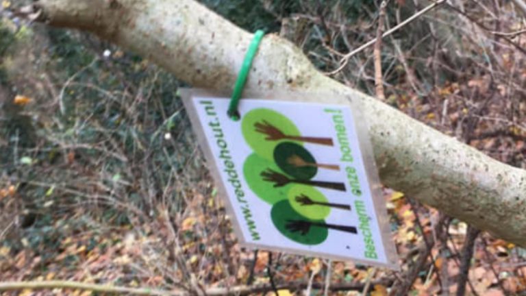 Stichting Red De Hout verward over ‘mysterieuze’ kaartjes in het park