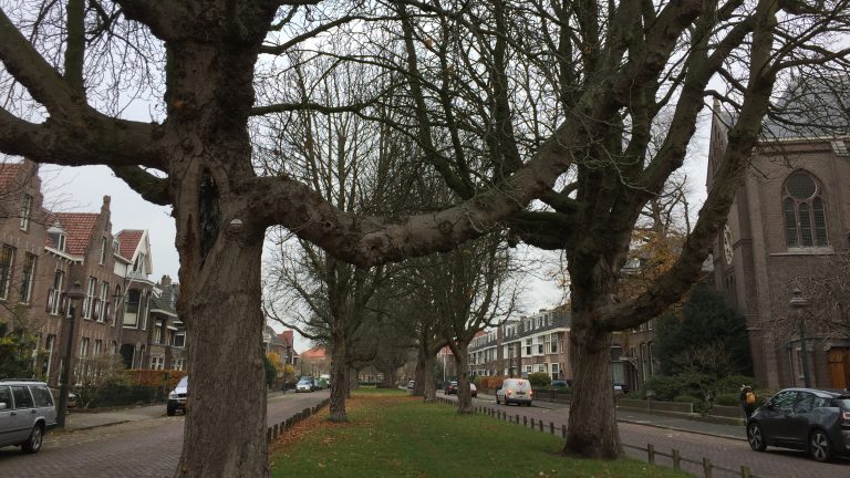 Bewoners: Nassaulaan moet een laan blijven, geen park