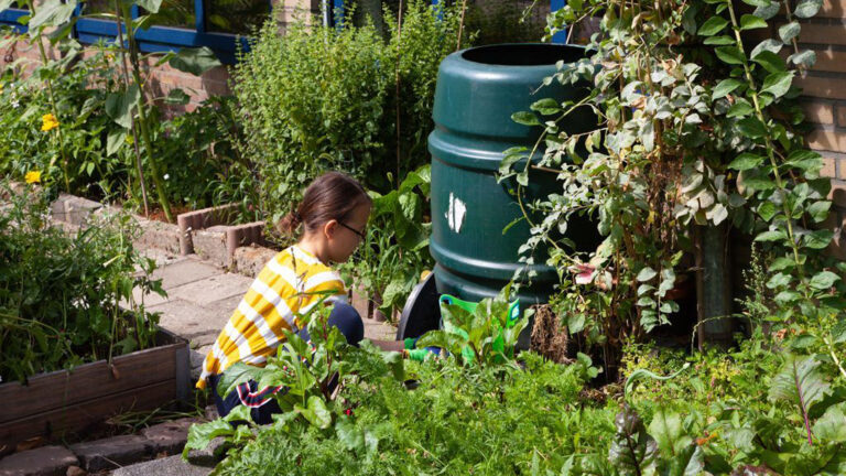 Steenbreek Alkmaar geeft tien regentonnen weg voor de beste tuintips