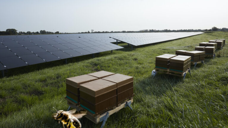 CDA Heiloo ziet geen heil in zonneweides tussen Egmond-Binnen en Heiloo