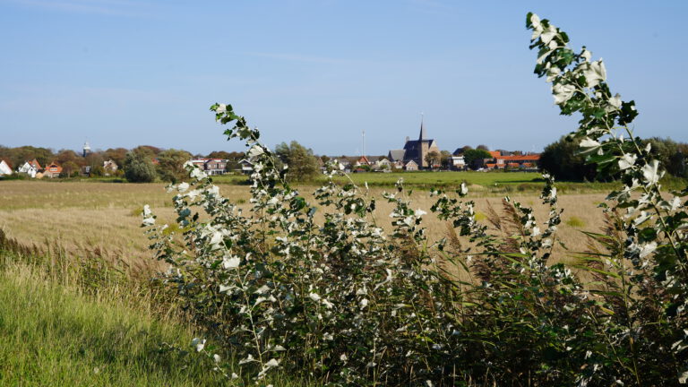 ‘Egmonders eerst’ in aangepast woningbouwplan Delversduin Egmond ad Hoef