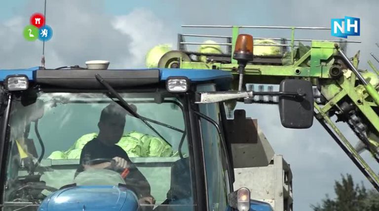 Koolcampagne 2021 met vertraging begonnen door koude meimaand