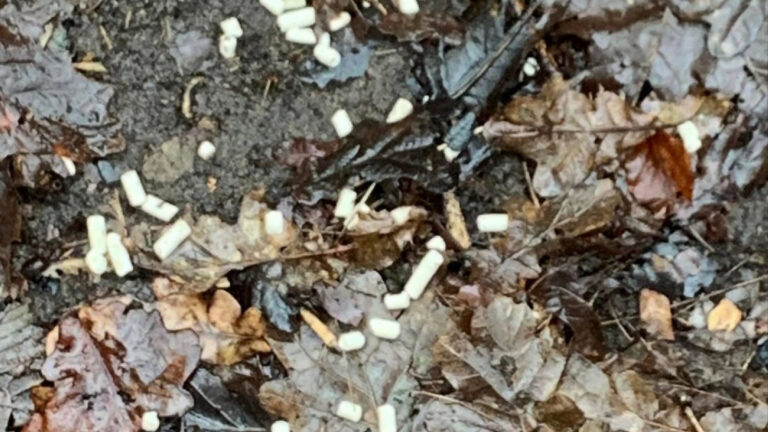 Politie: witte korrels in Heilooër recreatiegebieden geen rattengif