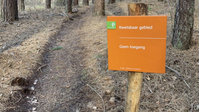 Hardleerse man bekeurd vanwege hardlopen door kwetsbaar duingebied