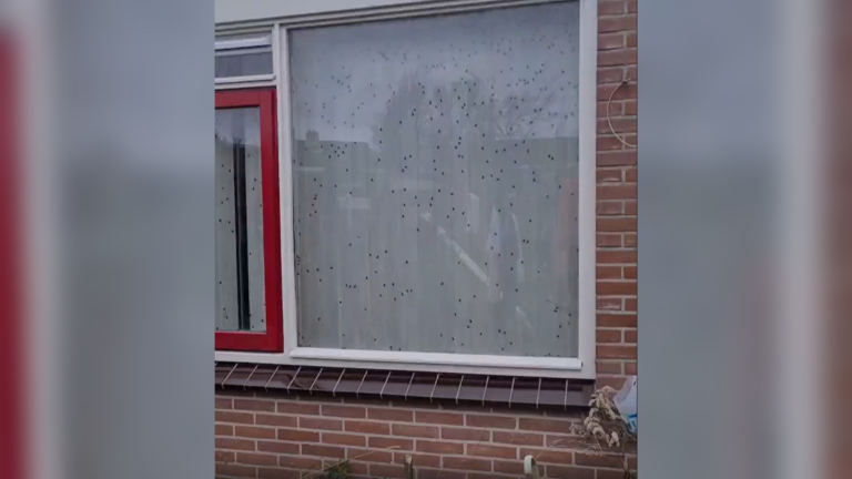Overleden man die werd gevonden in huis Koedijk was op leeftijd en had kinderen