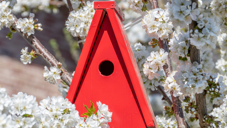 Vogelhuisje bouwen op 2 en 3 januari in Buitencentrum Schoorlse Duinen 🗓