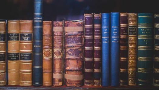 Traditionele Moederdag boekenmarkt op het Plein in Bergen 🗓