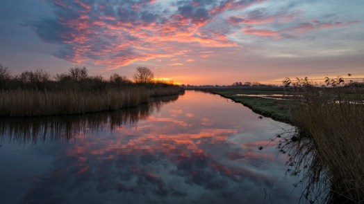 Betoverend avondlicht op de sloten: vaartocht door Eilandspolder als de zon zakt 🗓