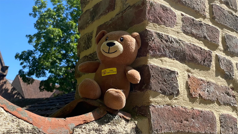 Sociaal experiment met ‘verloren’ teddybeer: Alkmaarders het meest behulpzaam