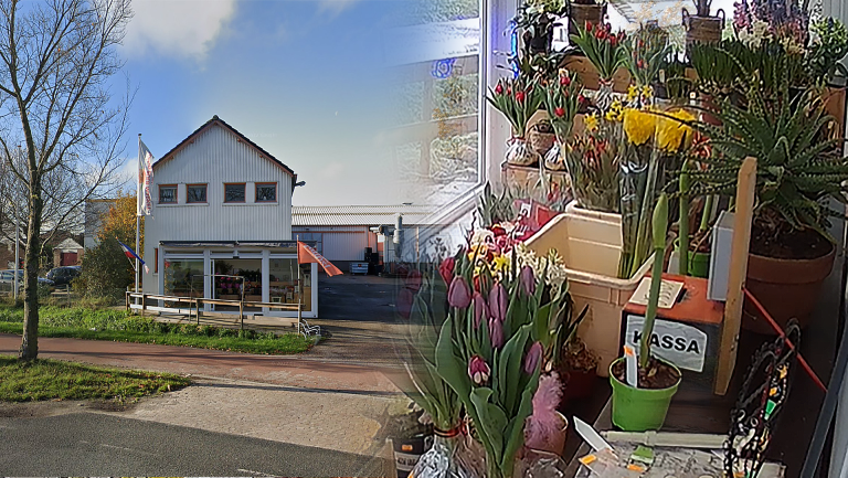 Bloemendief meldt zich na alle aandacht bij bloemenbedrijf: “Hij schaamde zich dood”