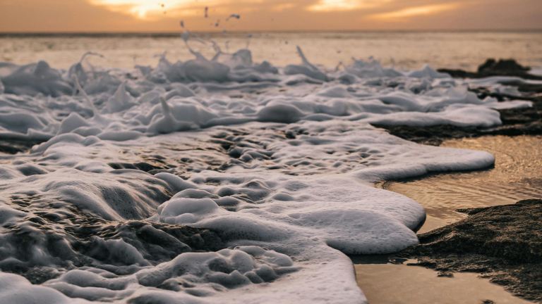 Advies over zeeschuim aangescherpt: blijf er helemaal van weg