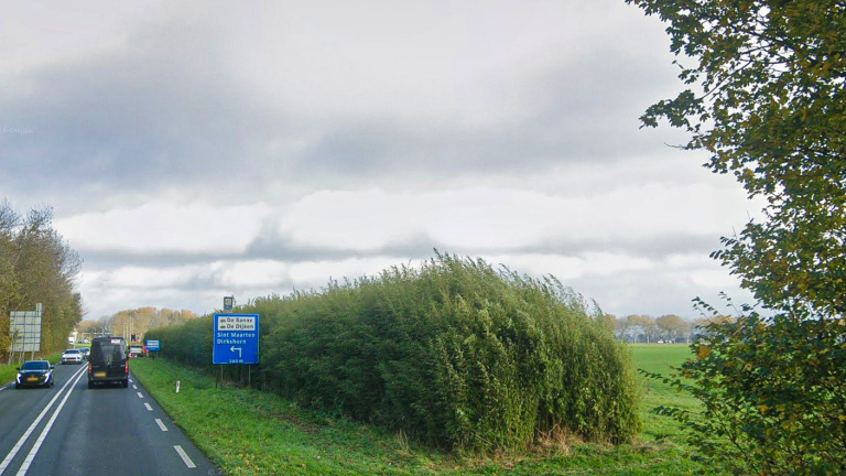 Geluidsscherm van bamboe langs N245 verdwijnt: “Het werkt niet”