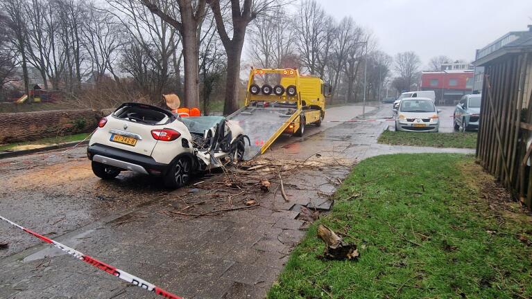 Boom niet bestand tegen wind: geparkeerde auto verpletterd