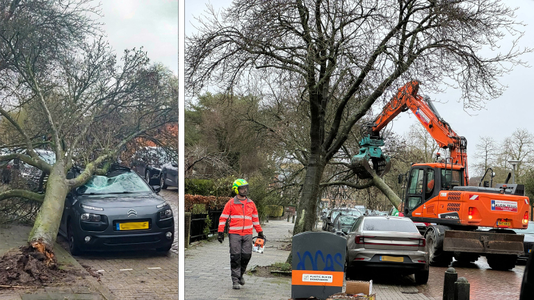 Ook Citroën overleeft nieuwjaarsweer niet
