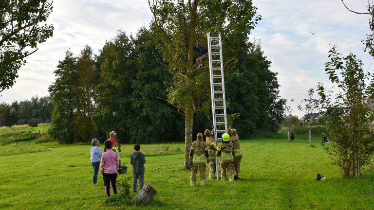 Brandweer bevrijdt kat en heldhaftige redder uit boom