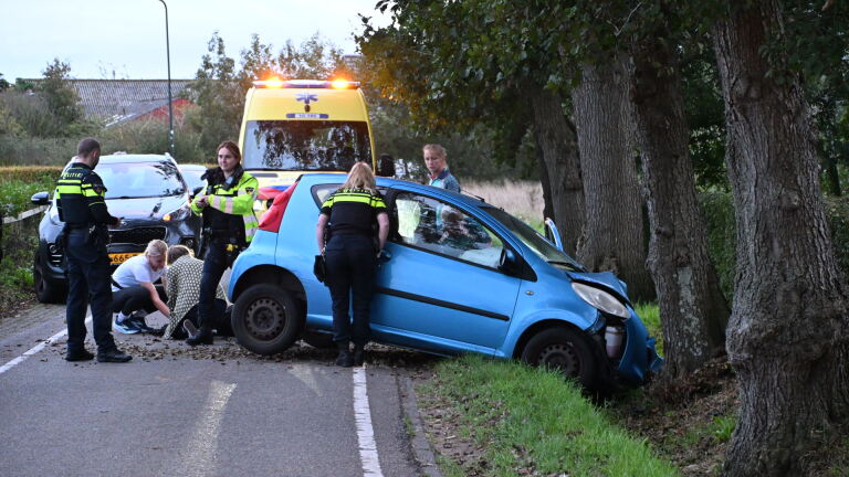 Vrouw gewond na botsing tegen boom aan Limmerweg in Bakkum