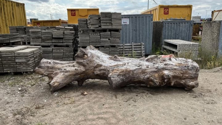 Boomstam van honderden kilo’s plotseling verdwenen