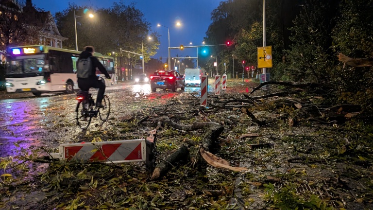 Boom valt op Kennemerstraatweg in Alkmaar, automobilisten letten niet op