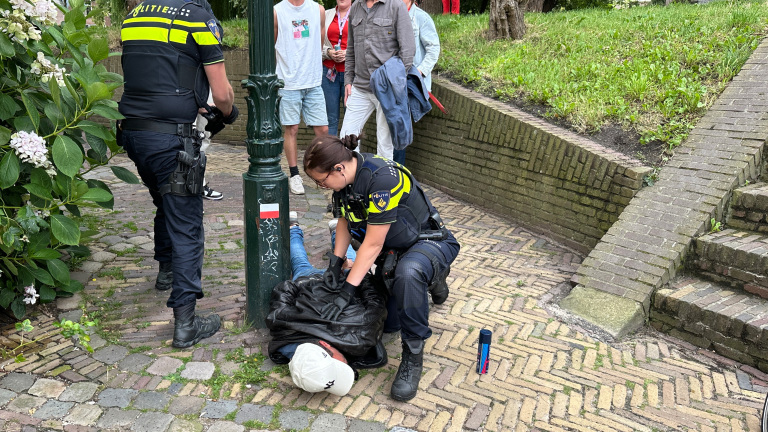 Twee politieagenten grijpen een persoon op de grond aan, terwijl omstanders toekijken in een parkachtige omgeving.