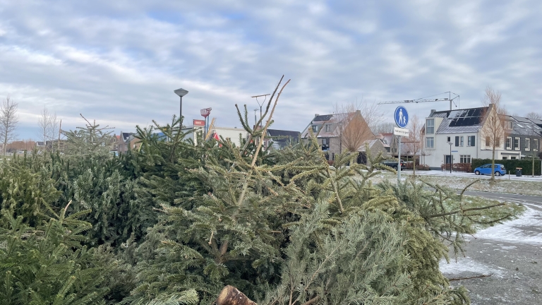 Een stapel afgedankte kerstbomen langs een besneeuwd trottoir in een woonwijk met huizen en een verkeersbord op de achtergrond.