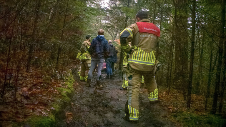Tragisch ongeval in Bergen: paard overlijdt na val in duinen
