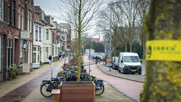 Bakken en bomen van Geesterweg tot aan Grote Kerk in Alkmaar: “Een voorproefje”