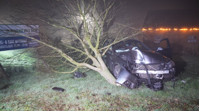 Beschonken bestuurder ramt boom op erf langs Baakmeerdijk in Bergen