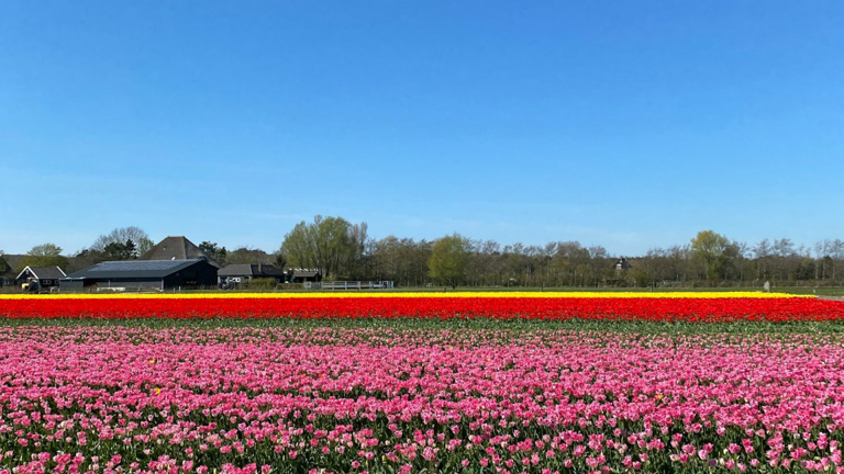 Zo maak je je thuisnetwerk in Noord-Holland toekomstbestendig [Advertorial]