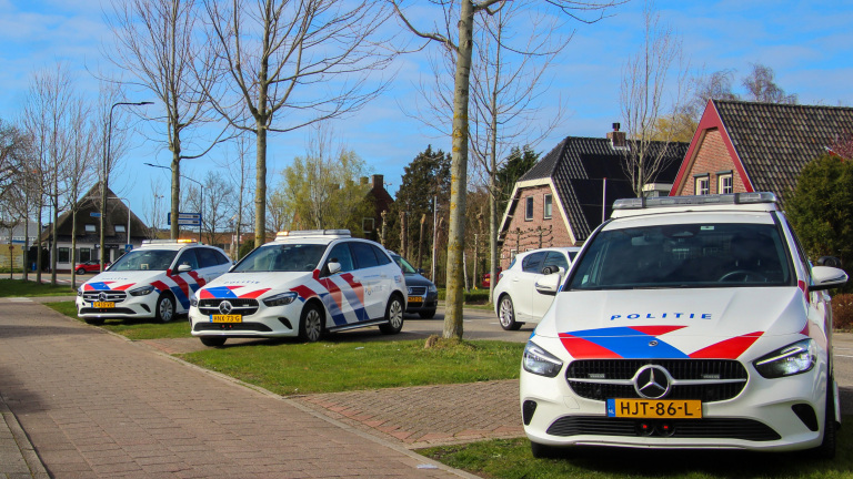 Drie politieauto's met rood-blauwe strepen staan geparkeerd langs een laan in een woonwijk met bomen.