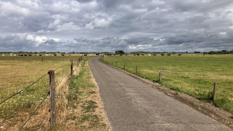 Smal landweggetje door weilanden met grazende koeien, onder een donkere wolkenlucht