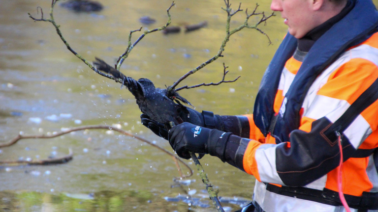 Een persoon in een oranje en zwarte jas houdt een natte vogel vast die vastzit in takken boven het water.
