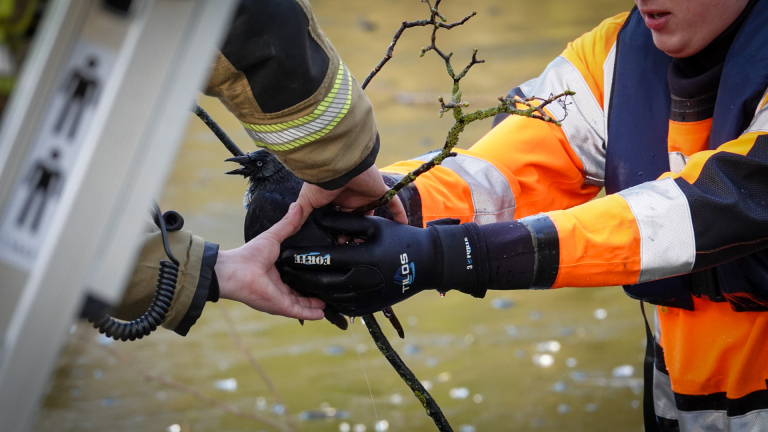 Een persoon in een oranje en zwarte jas houdt een natte vogel vast die vastzit in takken boven het water.