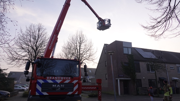 Kat in een reismand kijkt door de tralies, naast een persoon met spijkerbroek en schoenen.